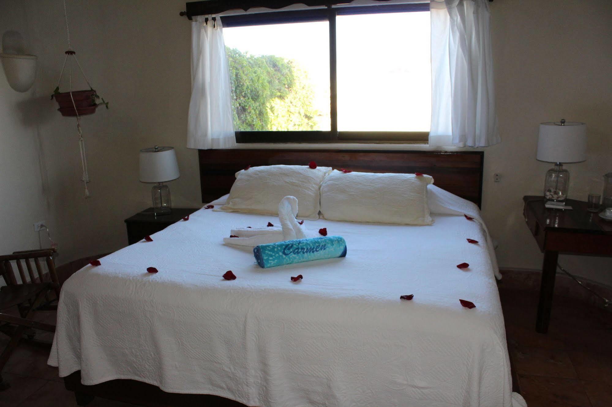 Boutique Hotel Delfin 5Th Avenue ปลายาเดลการ์เมน ภายนอก รูปภาพ
